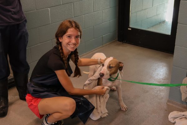 Service Day: Lafayette Animal Shelter